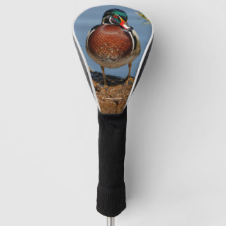 Schöne Pensive Holzente im Marsch Golf Headcover