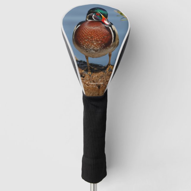 Schöne Pensive Holzente im Marsch Golf Headcover (Vorderseite)