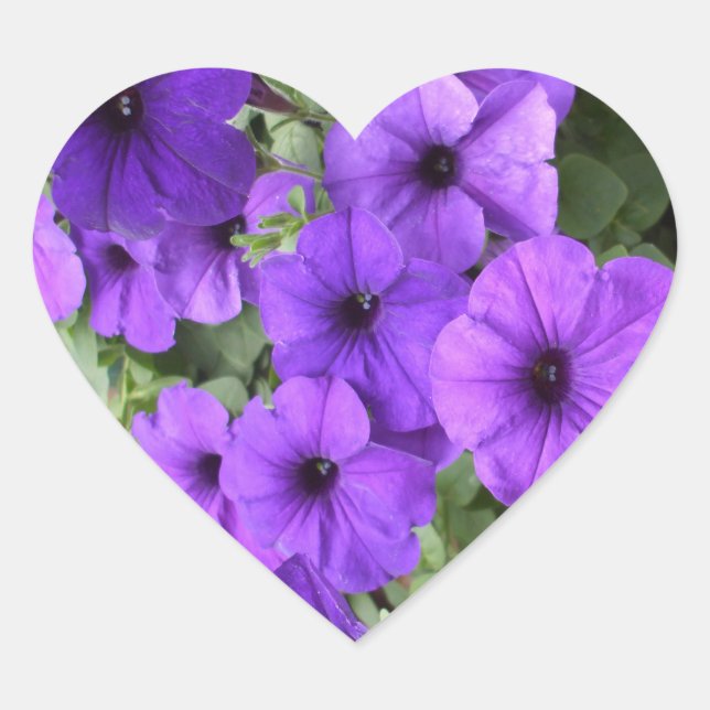 Schöne Petunias Herz-Aufkleber (Vorderseite)
