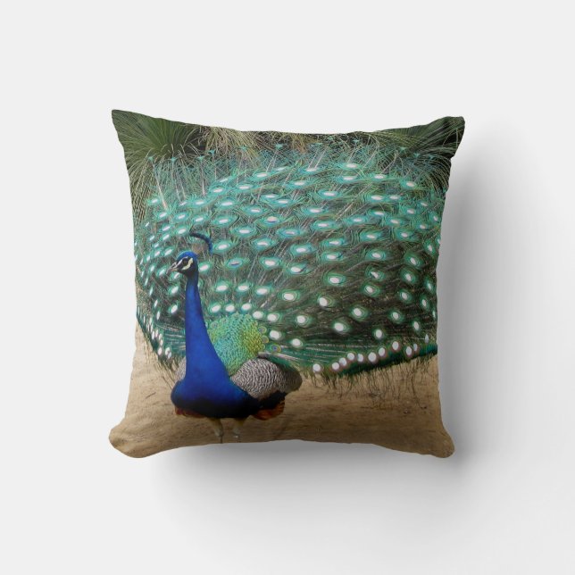 Schöne Pfau-Amerikaner MoJo Kissen (Vorderseite)
