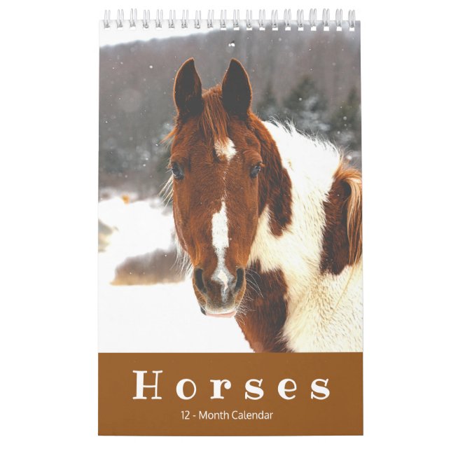 Schöne Pferde 12 Monate Kleiner Pferdekalender Kalender (Titelbild)