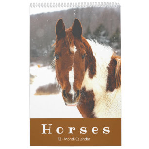 Schöne Pferde 12 Monate Pferdekalender Kalender