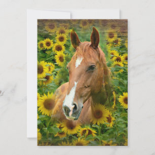 Schöne Pferde auf einem Feld mit Sonnenblumen Kart Karte