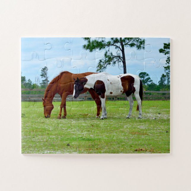 Schöne Pferde auf einer Ranch (Horizontal)