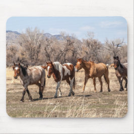 Schöne Pferde auf einer Weide Mousepad