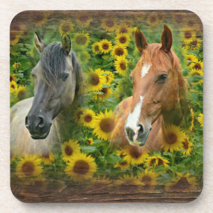 Schöne Pferde im Feld der Sonnenblumen Getränkeuntersetzer