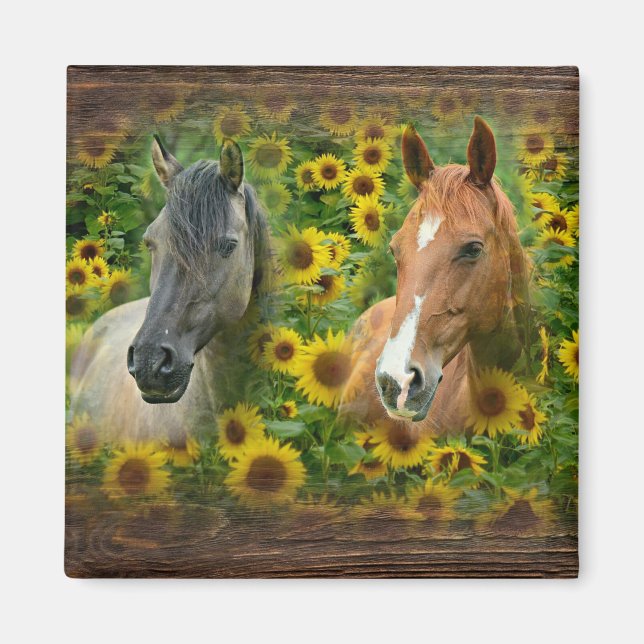 Schöne Pferde im Feld der Sonnenblumen Magnet (Vorne)