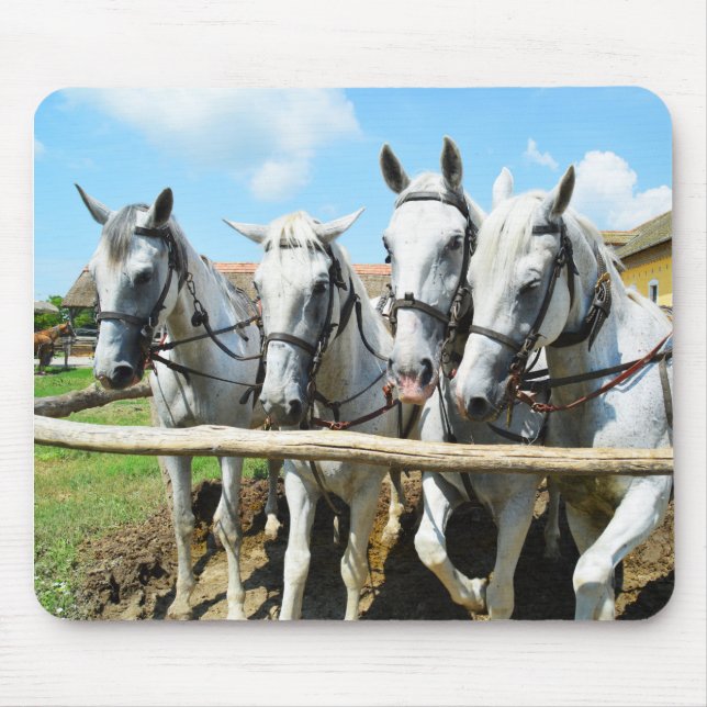 Schöne Pferde Mousepad (Vorne)