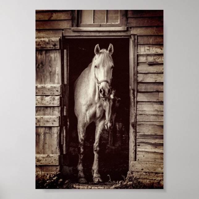 Schöne Pferde Rustic Brown Barn Poster (Vorne)