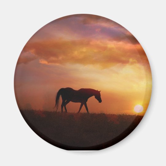 Schone Pferde Und Magnet Zazzle Ch