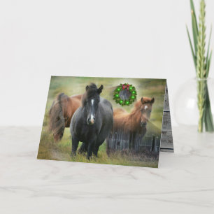 Schöne Pferde und Rustikale Weihnachten im Stall