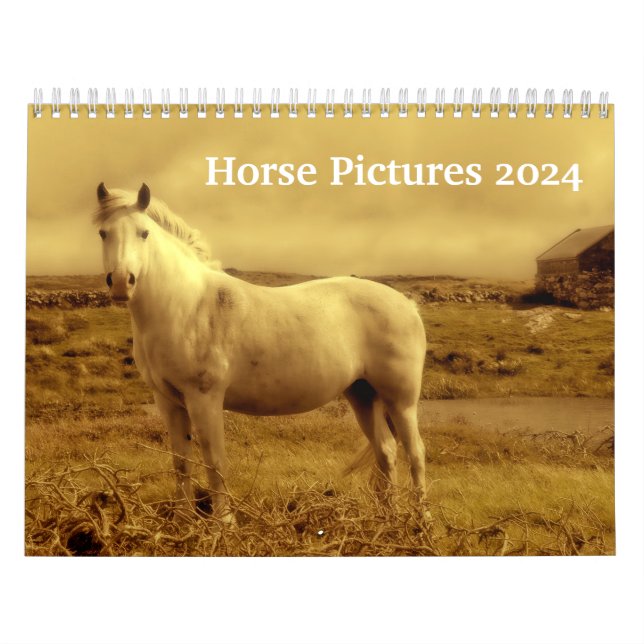Schöne Pferdebilder 2024 Kalender (Titelbild)
