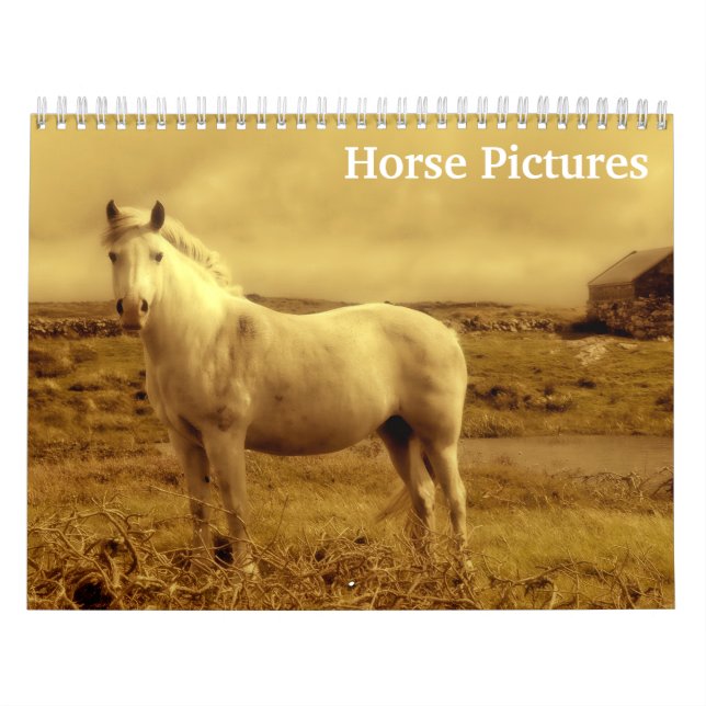Schöne Pferdebilder 2025 Kalender (Titelbild)