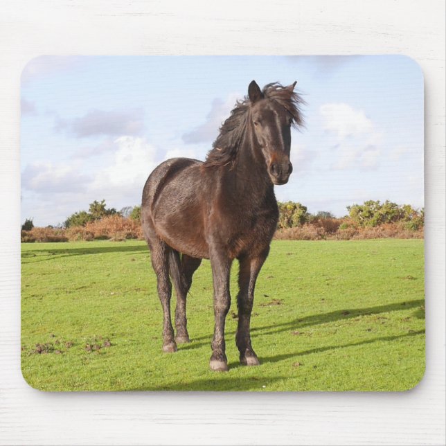 Schöne Pferdemuse Mousepad (Vorne)