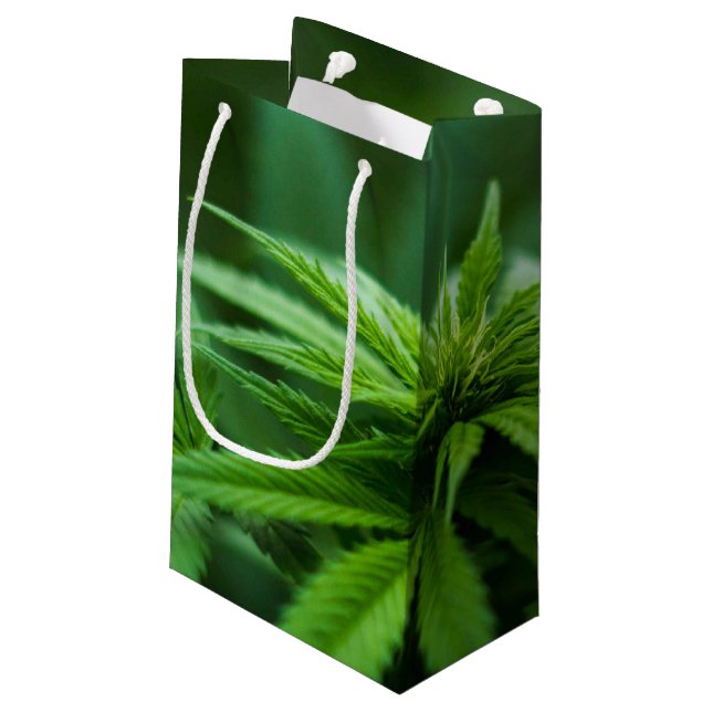 Schöne Pflanze Kleine Geschenktüte (Rückseite Schrägansicht)