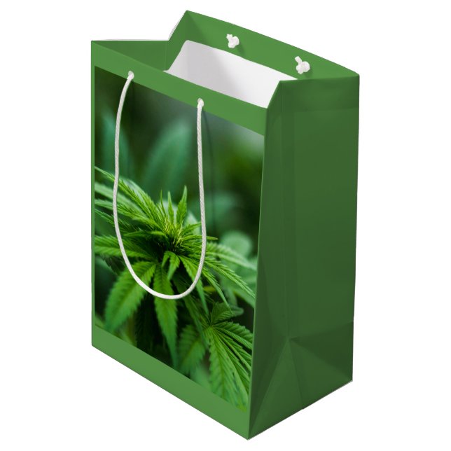 Schöne Pflanze Mittlere Geschenktüte (Rückseite Schrägansicht)