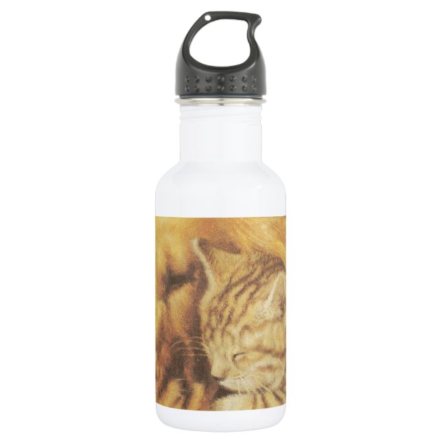 Schöne Phantastische Katze und Hund Cuddling Art P Edelstahlflasche (Vorderseite)