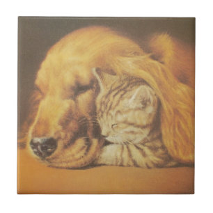Schöne Phantastische Katze und Hund Cuddling Art P Fliese