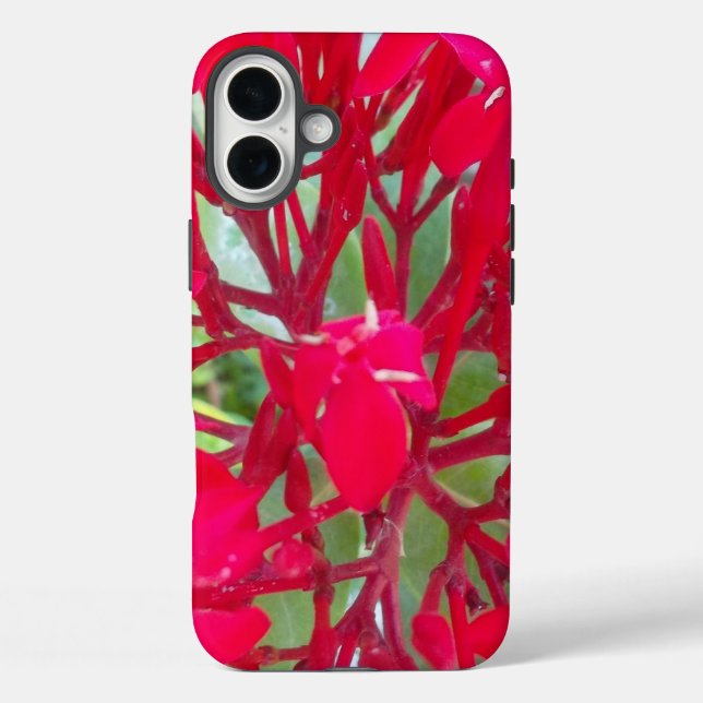 Schöne Phantastische rote Blume iPhone 16 Plus Hülle (Rückseite)