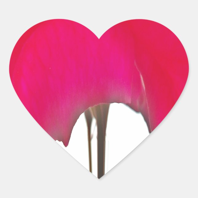 Schöne phantastische Rote Rose Herz-Aufkleber (Vorderseite)