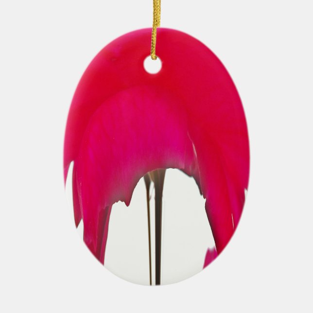 Schöne phantastische Rote Rose unter weißem Himmel Keramikornament (Vorne)