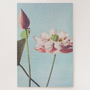 Schöne photomechanische Drucke von Lotus-Blume