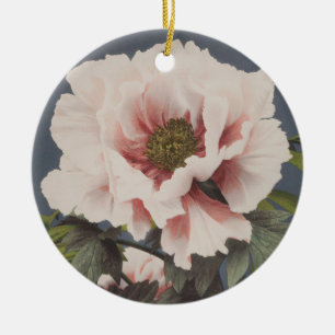 Schöne photomechanische Drucke von Peony-Blume Keramik Ornament