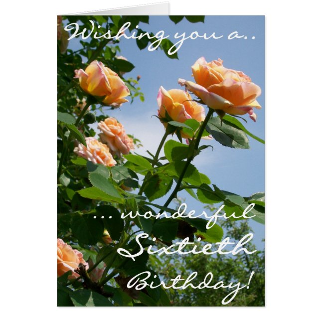 Schöne Pink Alchemist Rose 60. Geburtstag (Vorne)