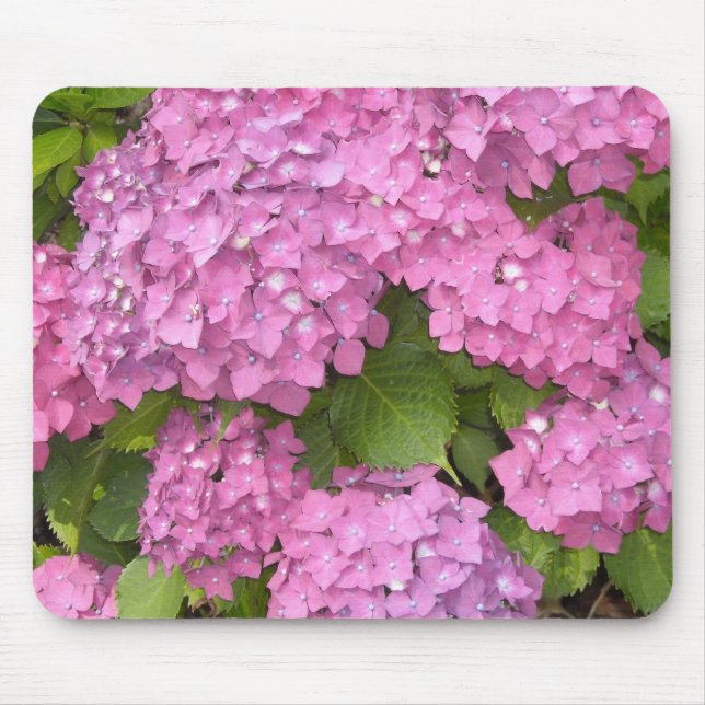 Schöne Pink Hydrangeas Mousepad (Vorne)