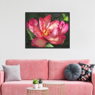 Schöne Pink Peony Bloom Floral Leinwanddruck