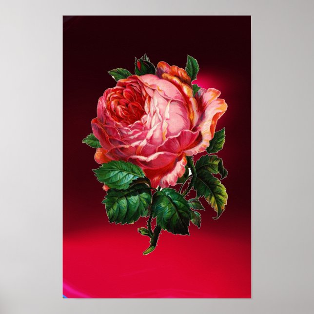 SCHÖNE PINK ROSE POSTER (Vorne)