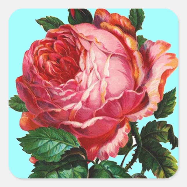 SCHÖNE PINK ROSE QUADRATISCHER AUFKLEBER (Vorderseite)