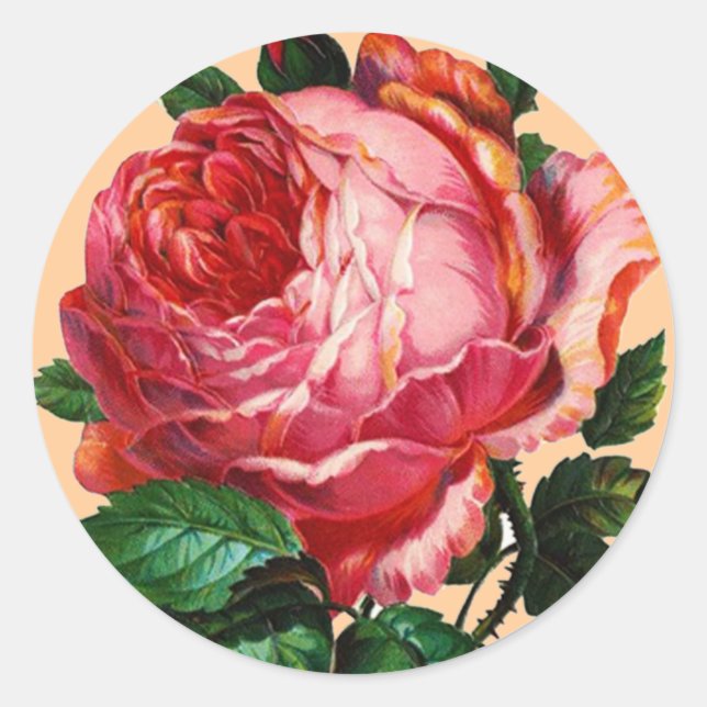 SCHÖNE PINK ROSE RUNDER AUFKLEBER (Vorderseite)
