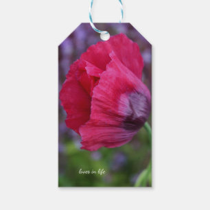 Schöne PInk und Lila Poppy-Blume Geschenkanhänger