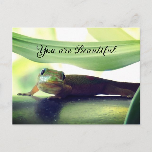 Schöne Postkarte (Vorderseite)