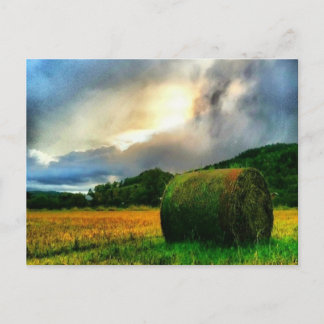 Schöne Postkarte eines Heufelds