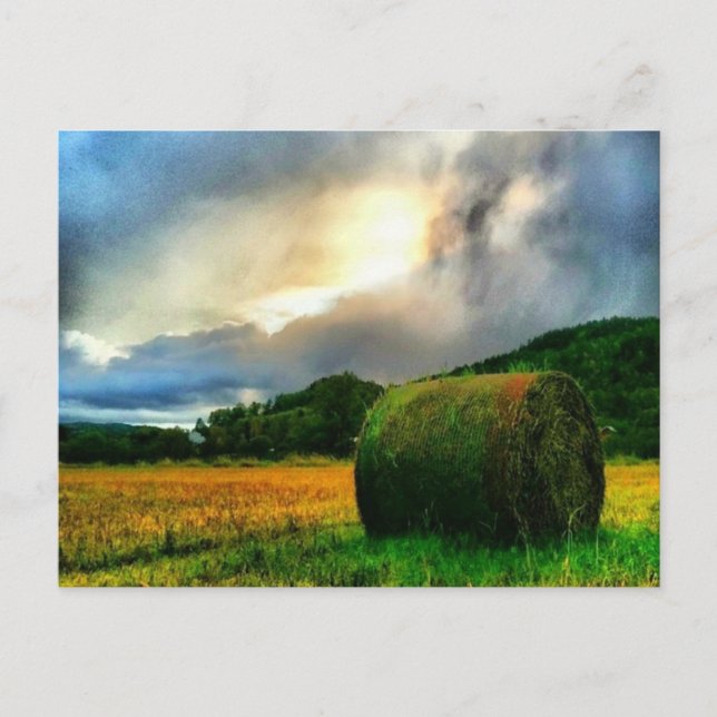 Schöne Postkarte eines Heufelds (Vorderseite)
