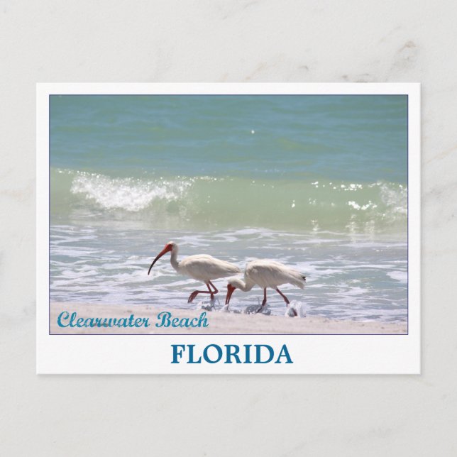 Schöne Postkarte von Clearwater Beach Florida (Vorderseite)