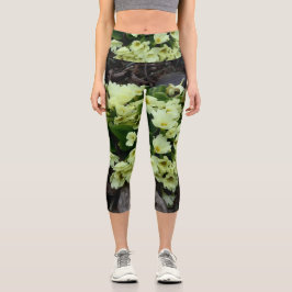 Schöne Primula vulgaris Primrosen in trockenen Blä Capri Leggings