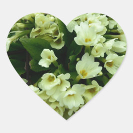 Schöne Primula vulgaris Primrosen in trockenen Blä Herz-Aufkleber