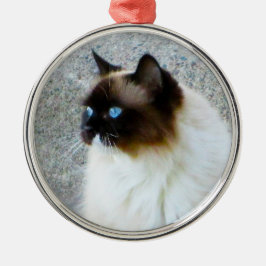 Schöne Ragdoll Birman Himalajakatze Ornament Aus Metall