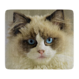 Schöne Ragdoll Katze mit blauen Augen Schneidebrett