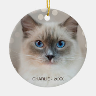 Schöne Ragdoll‑Katze und editierbarer Name Keramik Ornament