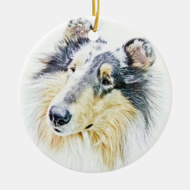 Schöne raue Colliehundekunst Keramikornament (Vorne)
