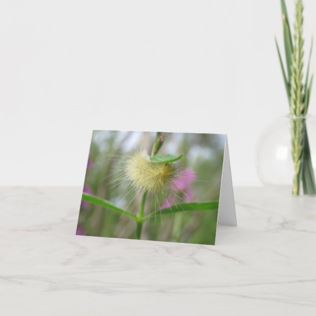 Schöne Raupe - leere Grußkarte Karte (Vorderseite)