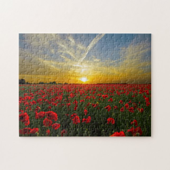 Schöne Red Poppy Field Sunset Fotografie (Horizontal)