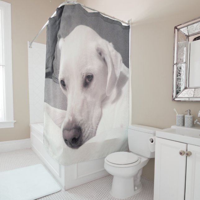 Schöne Regal White Labrador Mix Dog Grau Dusche Duschvorhang (Beispiel)