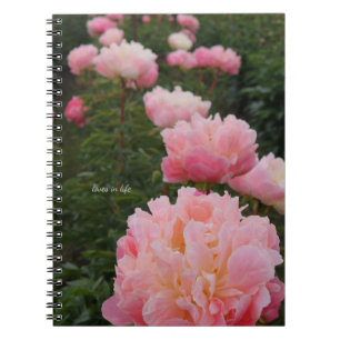 Schöne Reihe von rosafarbenen Peonies Notizblock