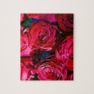 Schöne Reihe von Rote Rosen vor Herausforderungen