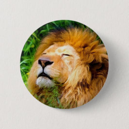 Schöne Riesen-Männchen Lion afrikanische Wildtiere Button